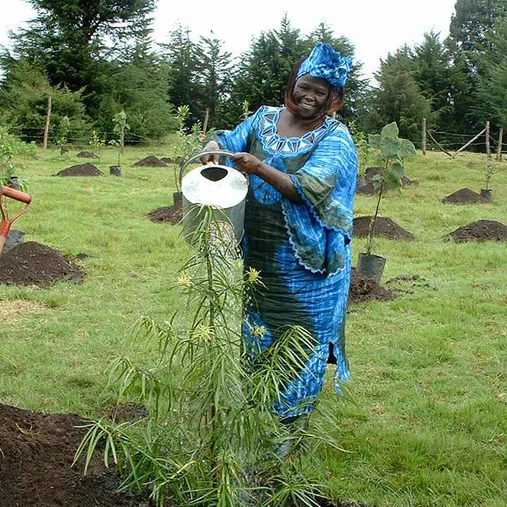 Wangari Maathai